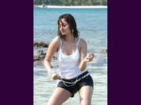 Hot Actress Wet